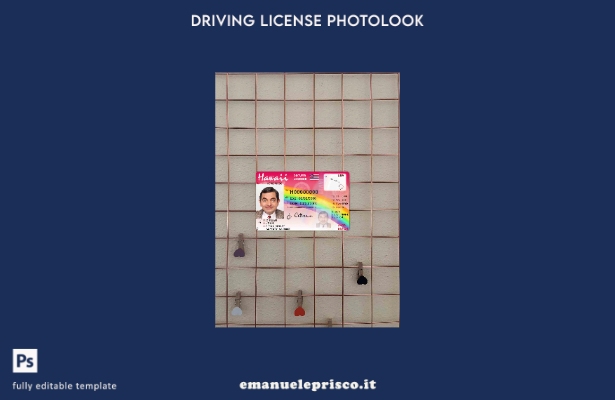 modello FRONTALE photolook Hawaii DL stile verificato